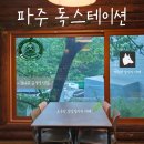 파주 애견카페 독스테이션 솔직후기: 오두막 감성 속 참나무 통삼겹 600g &amp; 대형견과 함께 힐링 공간