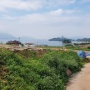 남해-317 이미지