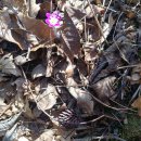 여미하다 이미지