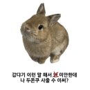 사주세요 네이버블로그