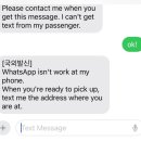 도그레온 | NY 2024🇺🇸