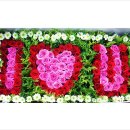 공도도서관 앞 공원 이미지