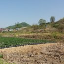 신라부동산중개사무소 이미지