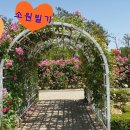 선스케이프