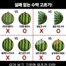 요즘 일상은 이런식이고 갑작스러운 우울을 떨쳐내보자