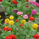 영어소설읽기 이미지