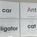 영어알파벳 기초 이미지