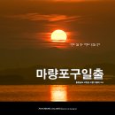 구름뜬하늘 | 서천 마량포구 일출과 동백나무숲, 대한민국 최초 성경 전래지, 서천 가볼만한곳