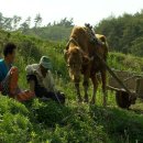 중앙시네마3관 이미지