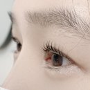 [공지] 여수 속눈썹펌 잘하는 곳 | 신기동 속눈썹펌 선의 미학 한올의 차이