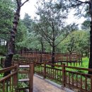 양양 낙산사 칠층석탑 | 강원도 양양 낙산사 칠층석탑, 해수관음상, 홍련암, 의상대 다녀왔어요!