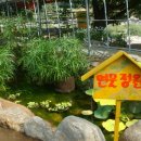 삼일1리 이미지