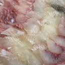 봉래횟집 이미지