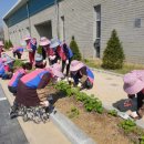 화성시농업기술센터 이미지