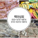 백마상회 이미지