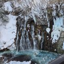 가네초밥 | 훗카이도여행 2일차 하편 비에이투어 눈놀이 흰수염폭포 청의호수 초밥