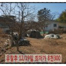 옥성2리마을회관 네이버블로그