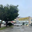 만호 | 부산 명지 갈미조개맛집 : 만호갈미샤브샤브 재방문후기