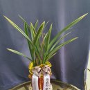 전임농장 이미지