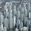 강남시장(3) 티스토리