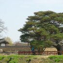 태양농장 이미지