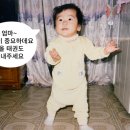 다올태권도 이미지