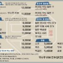 쭈꾸미손큰