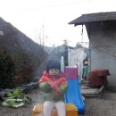 광재농산 이미지