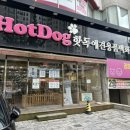핫독애견 이미지