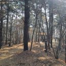 원수산 누리길 이미지