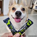 네임펫(Name Pet) | [닥터페렌들리] 11살 웰시코기 노령견을 위한 강아지 관절 영양제, 올인점프 급여 후기