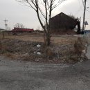 삼산면-2 이미지