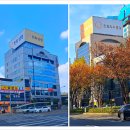 달구벌한의원 이미지