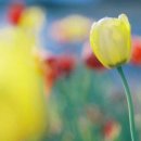 우리동네 이미지