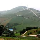 안반데기 목장 이미지