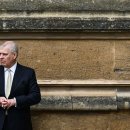 Pop Tune English 이미지