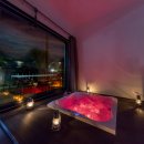 애견풀하우스 이미지