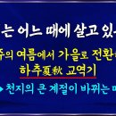 참신선