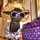 레파스 베이커스 본점 이미지