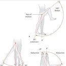 지사미한의원 이미지