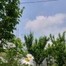 찬우물농장 이미지