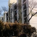 수타피자 이미지