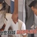 행복만복이