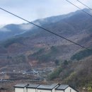 플로라펜션 | 구례 피아골 숙소 _ 플로라 펜션 [레드 방 후기] | 뚜벅이가 가는 방법 + 개별 테라스, 물놀이, 숲캉스...