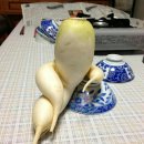 신기야채