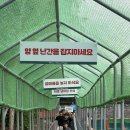 승리목장 | 웰리힐리 워터파크 가족여행 2박 3일 후기｜아이들과 강원도 여름휴가 제대로 즐기기!