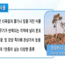 백합이네다육