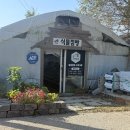 북면383 | 내돈내산) 식물 집사 필수 코스✨ 창원 식물점빵 방문 리뷰