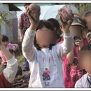 안덕파워영농조합법인 이미지