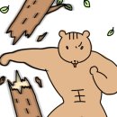 당진황토참숯 이미지